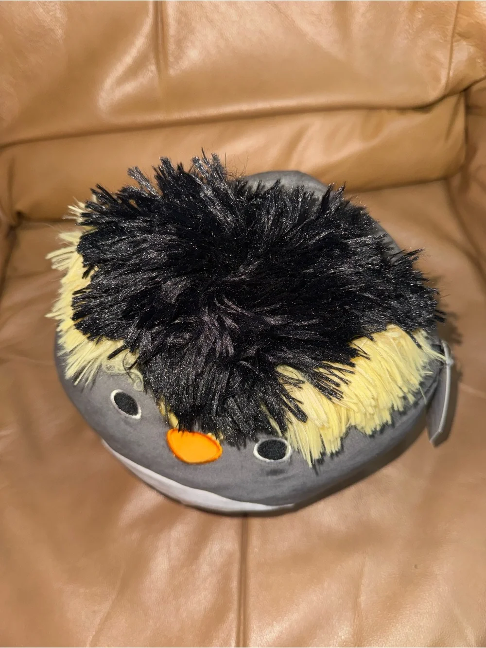 Lockwood the penguin squishmallow 11 inch